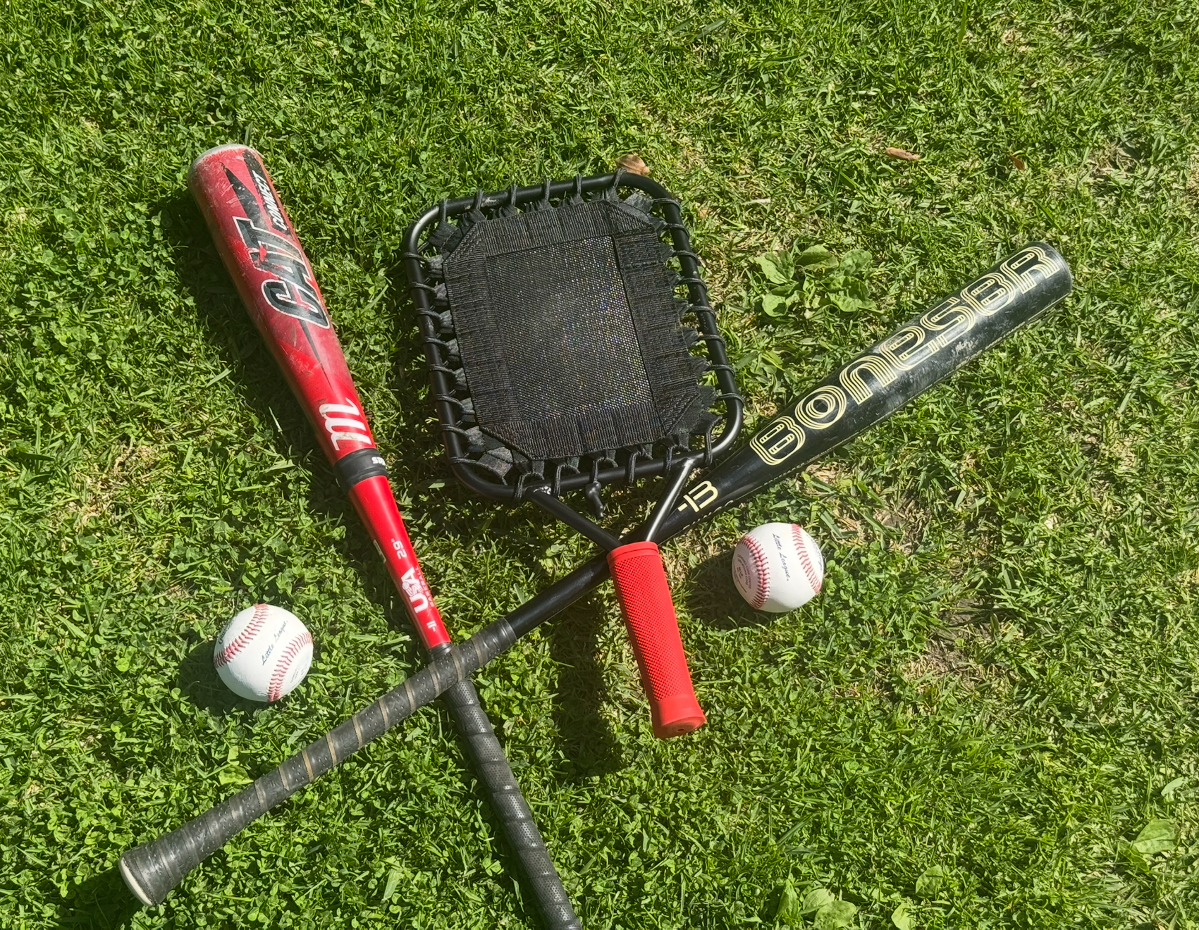 Collection of fungo bats